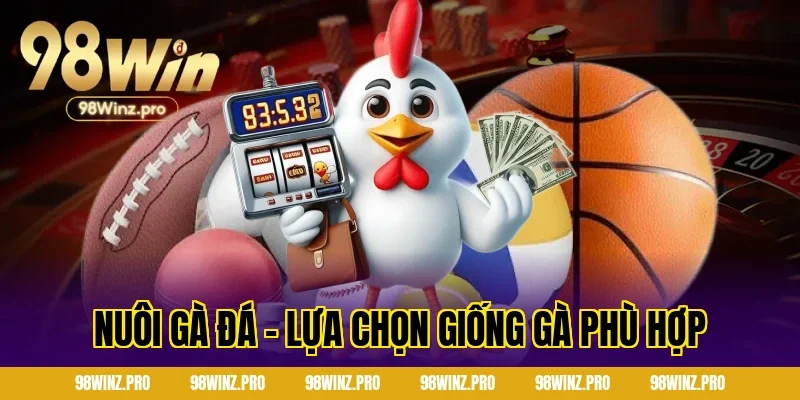 Nuôi gà đá - Lựa chọn giống gà phù hợp