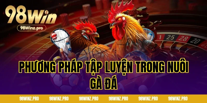 Phương pháp tập luyện trong nuôi gà đá